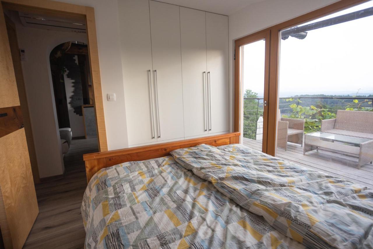 Vineyard Cottage Sonce Sentvid Pri Sticni Экстерьер фото