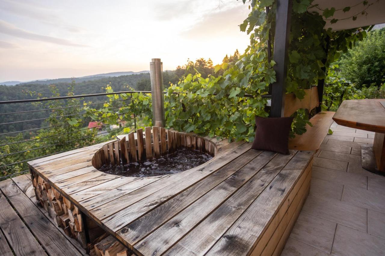Vineyard Cottage Sonce Sentvid Pri Sticni Экстерьер фото